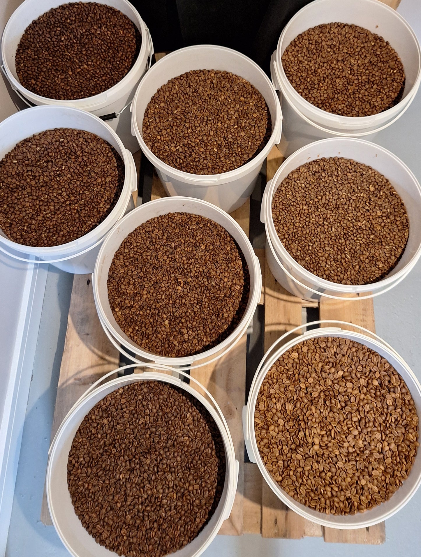 Velvet Sunrise Blend