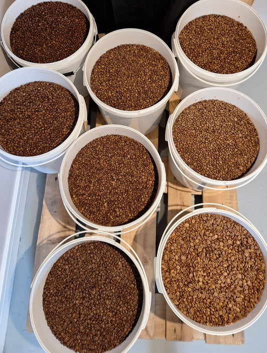 Comfort Blend (50:50)