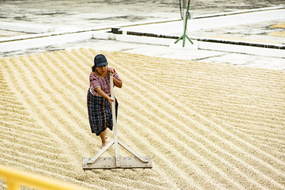 Guatemala