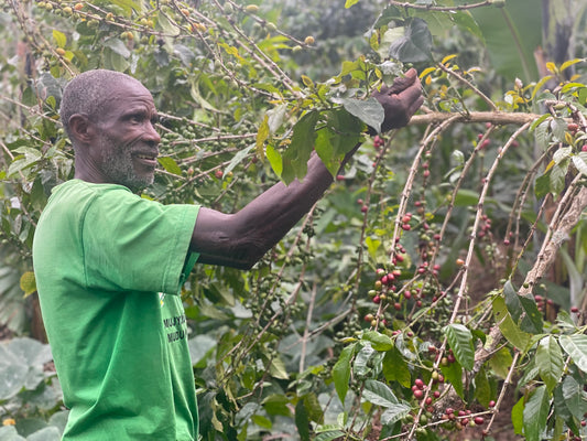 Rwanda