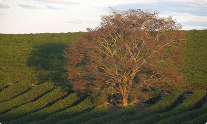 El Salvador